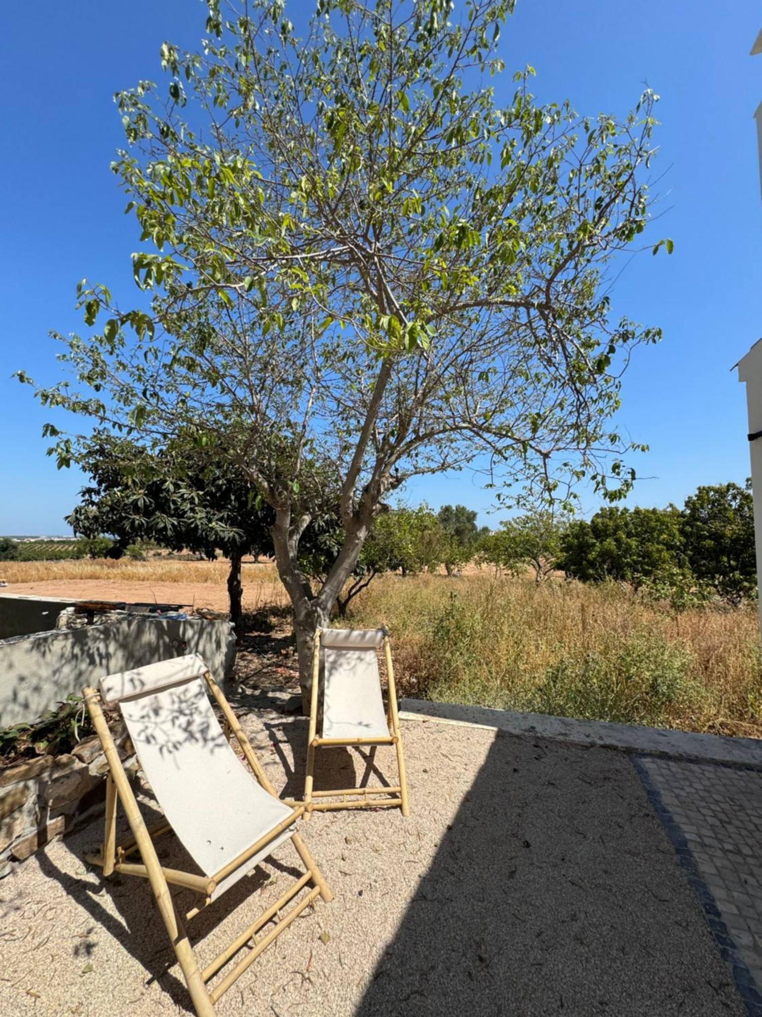 Quinta Castor Villa Vila Nova de Cacela Bagian luar foto