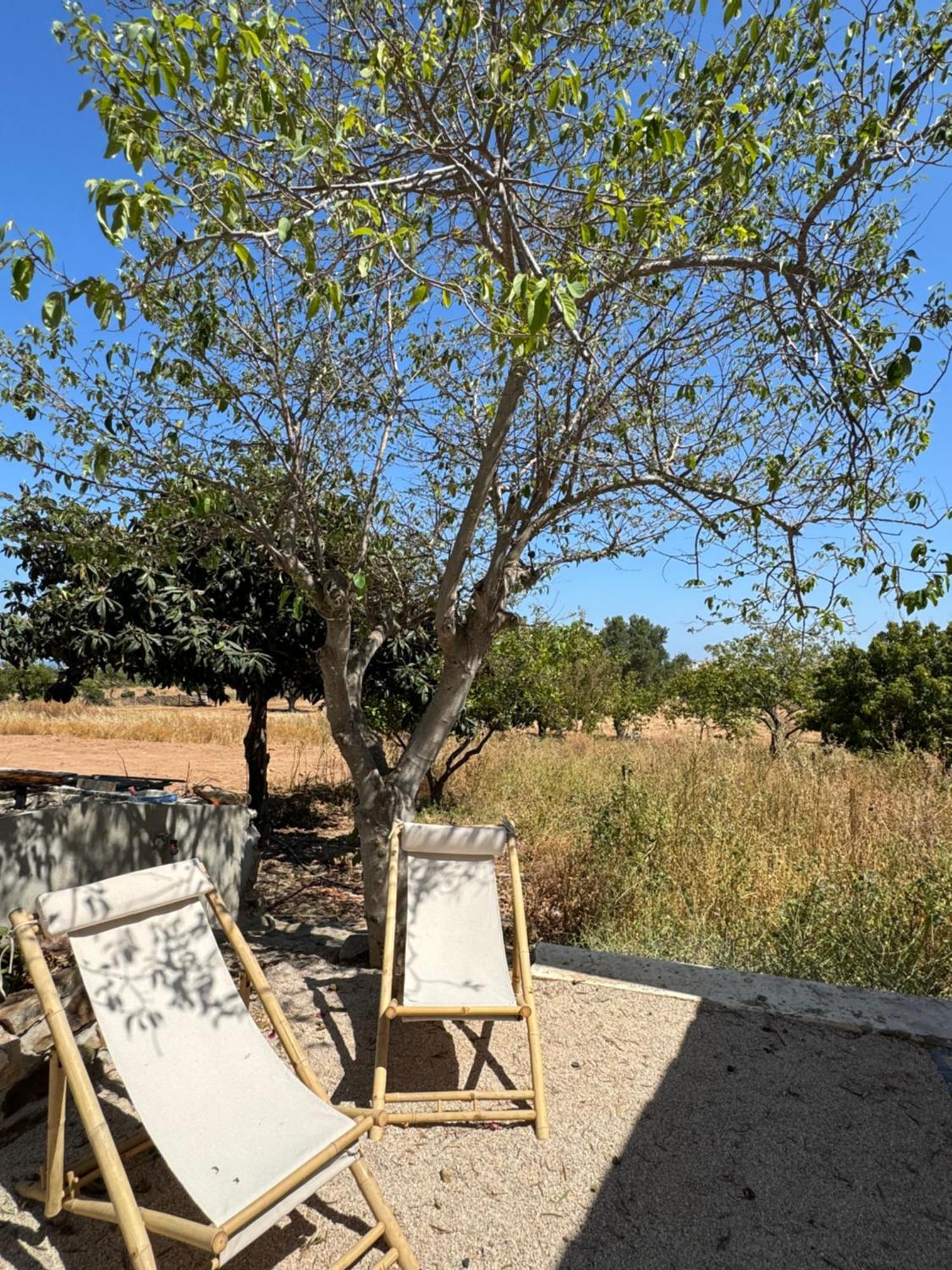 Quinta Castor Villa Vila Nova de Cacela Bagian luar foto