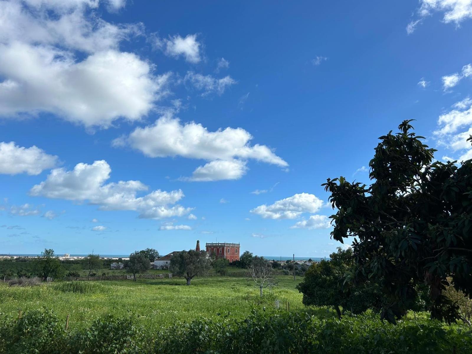 Quinta Castor Villa Vila Nova de Cacela Bagian luar foto