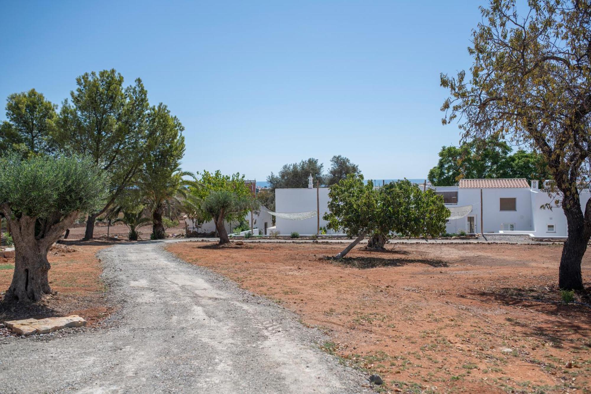 Quinta Castor Villa Vila Nova de Cacela Bagian luar foto