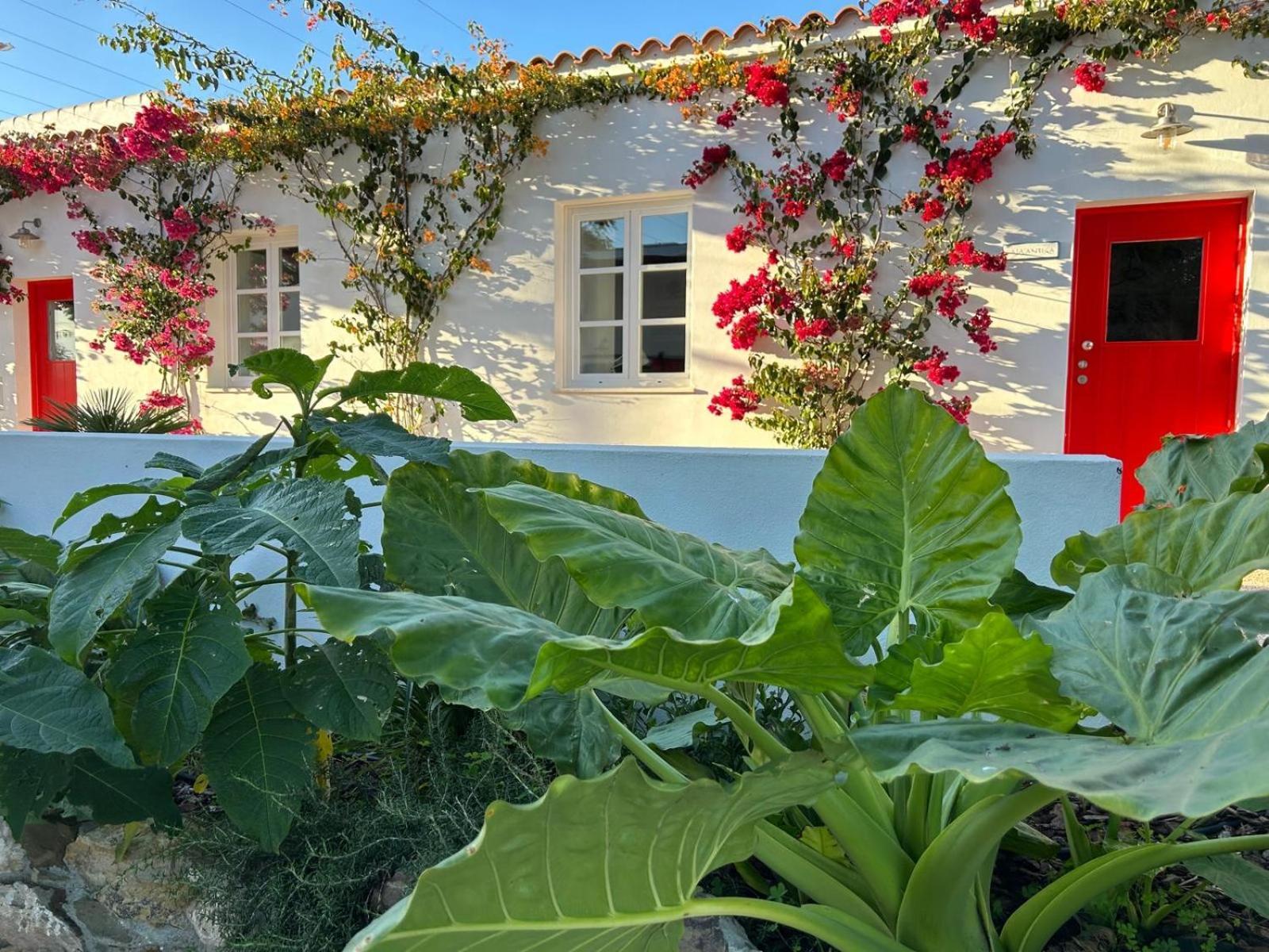 Quinta Castor Villa Vila Nova de Cacela Bagian luar foto
